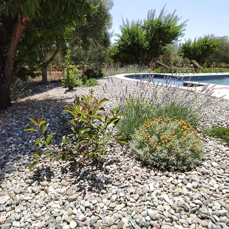 Bed & Breakfast Contrada Specchia *